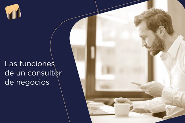 Las funciones de un consultor de negocios