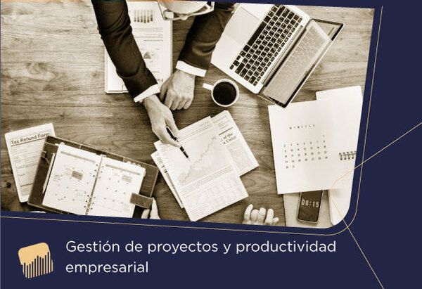 gestión de proyectos