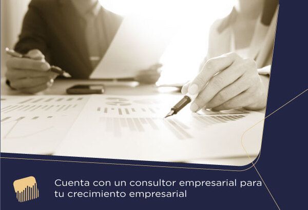 consultor empresarial